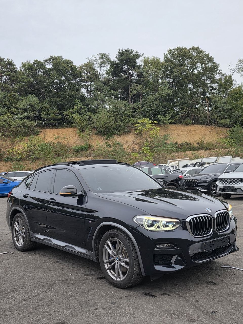 
								BMW X4 xDrive20i M Sport full									
