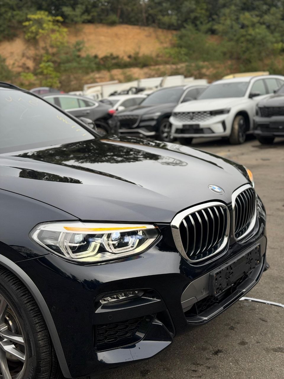 
								BMW X4 xDrive20i M Sport full									
